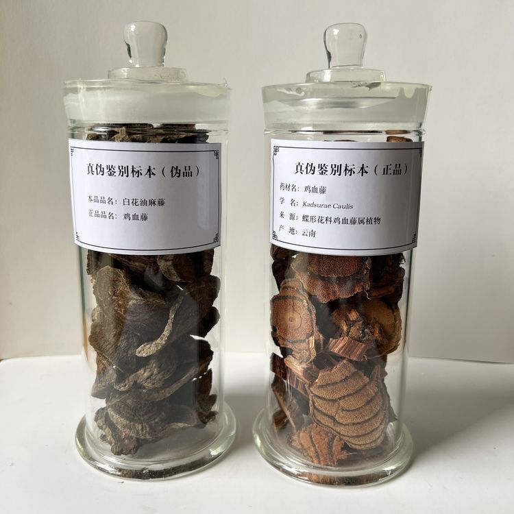 雞血騰真偽鑒別標本