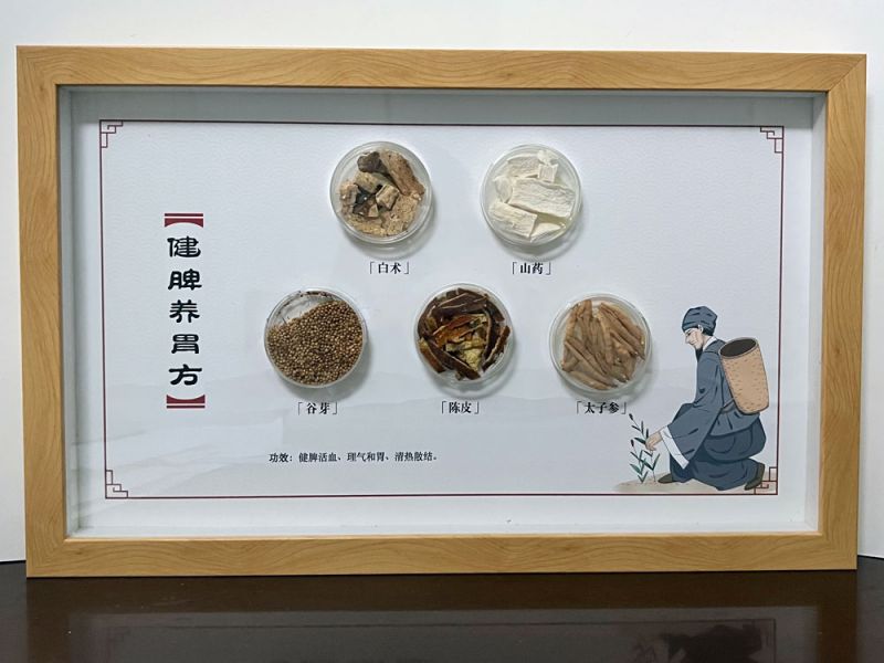 健脾養胃方-中藥方劑標本