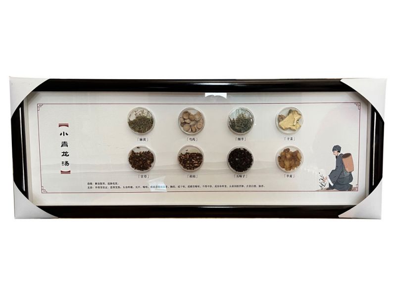 小青龍湯-中藥方劑標本