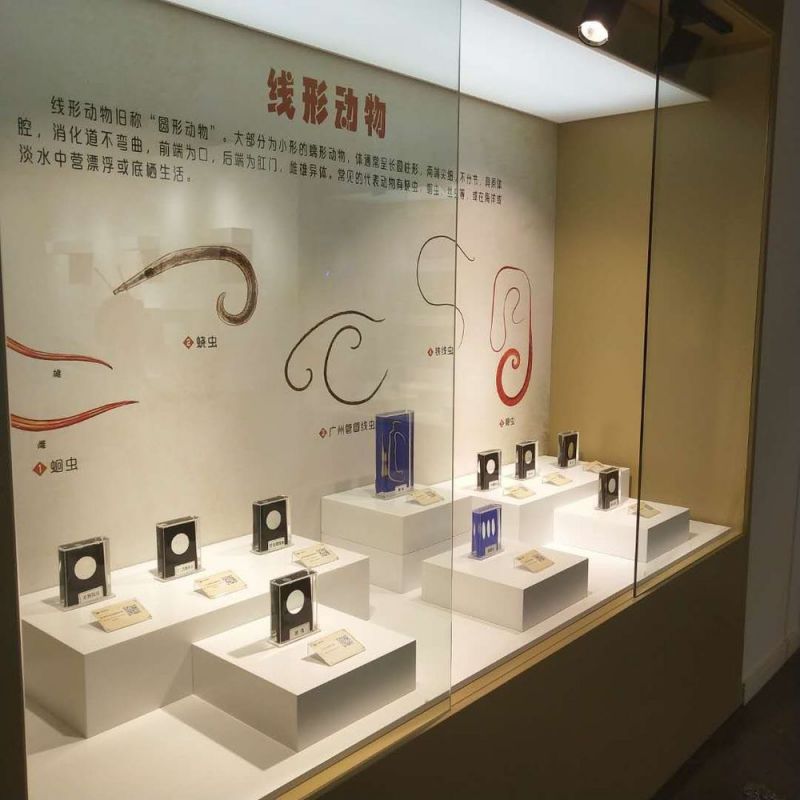 標本展覽館