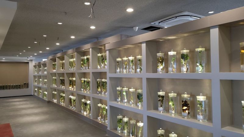 標本展覽館