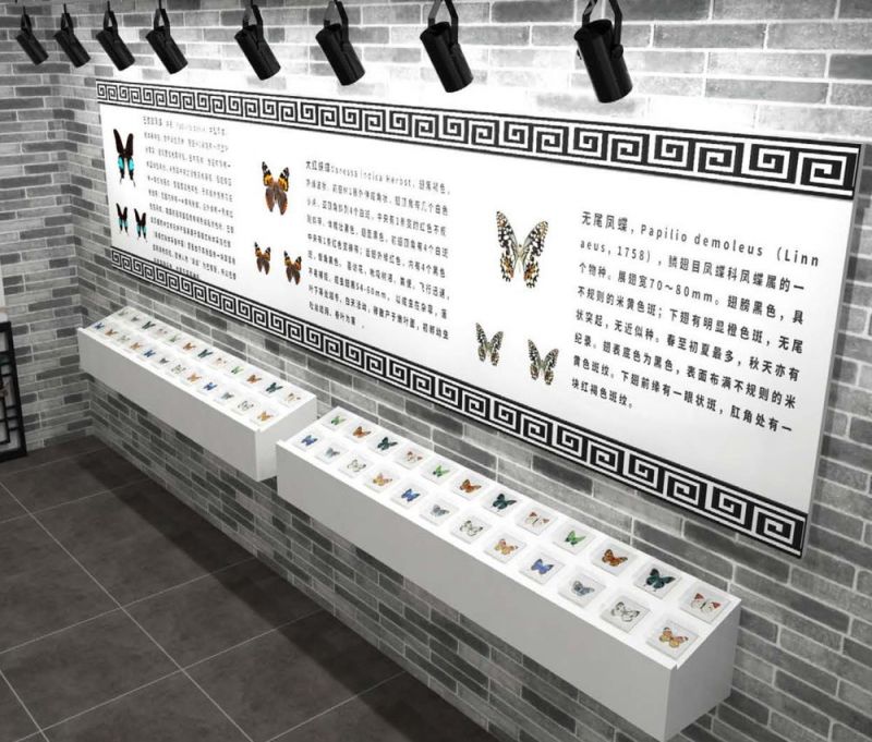 標本展覽館