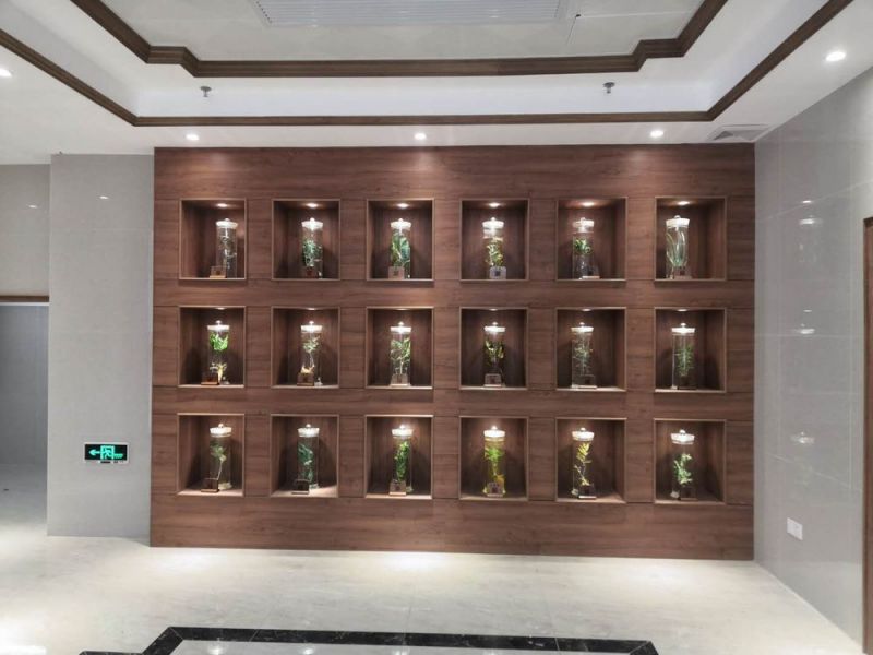 標本展覽館