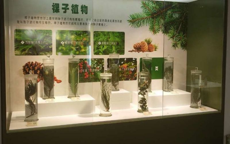 2018.9標本館